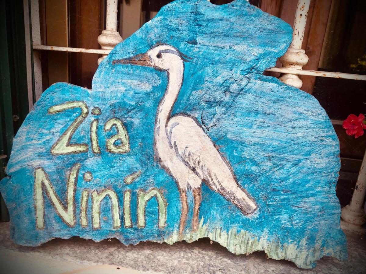 Appartamento Zia Ninin - La Gioia Di Un Tempo! Pavia Ngoại thất bức ảnh